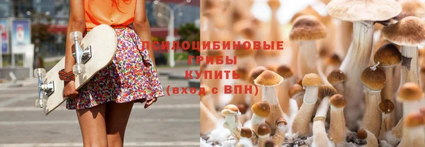 стаф Зеленокумск