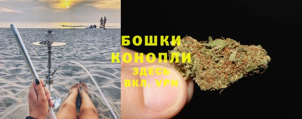 стаф Зеленокумск