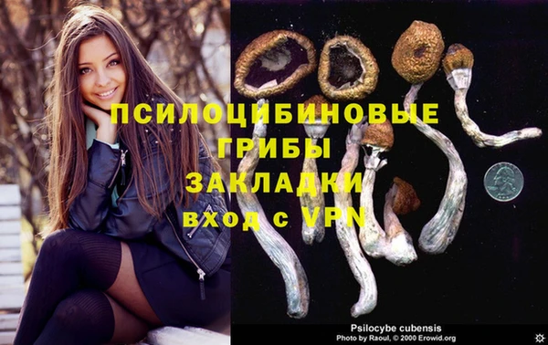 стаф Зеленодольск