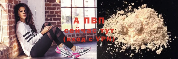 стаф Зеленокумск