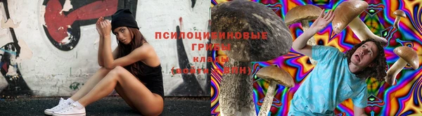 стаф Зеленодольск